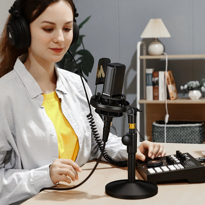 Professional Pro Mic