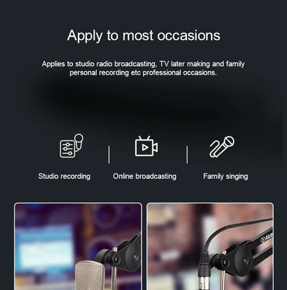Gold-Plated Professional Mic