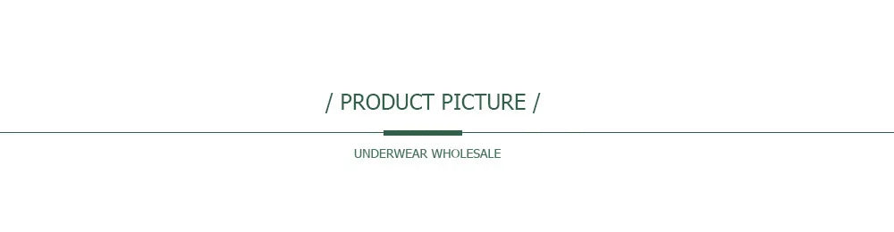 5 PCS/Set Mesh Briefs Big Size M-XL Lace Hollow Out Panties Sexy Transparent Underwear Low Rise Panties Girls Intimates Lingerie
