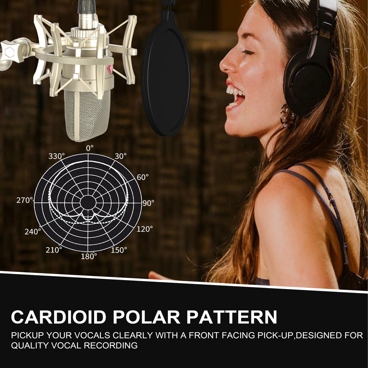 Professional Audio Recording Microphone