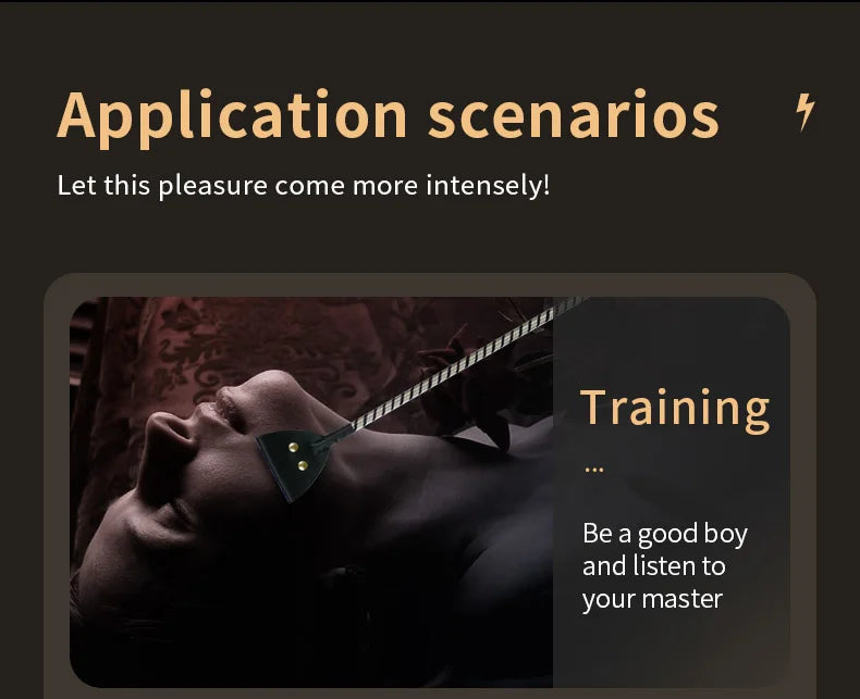 Electric shock training series, Pulse Horse Whip, Electro Spanking Paddle, Spanking Stick Bat, BDSM, Sex Games, Adult Sex Toys
