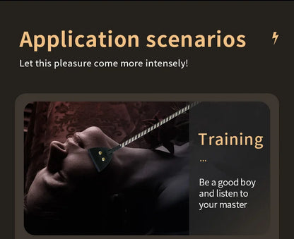 Electric shock training series, Pulse Horse Whip, Electro Spanking Paddle, Spanking Stick Bat, BDSM, Sex Games, Adult Sex Toys