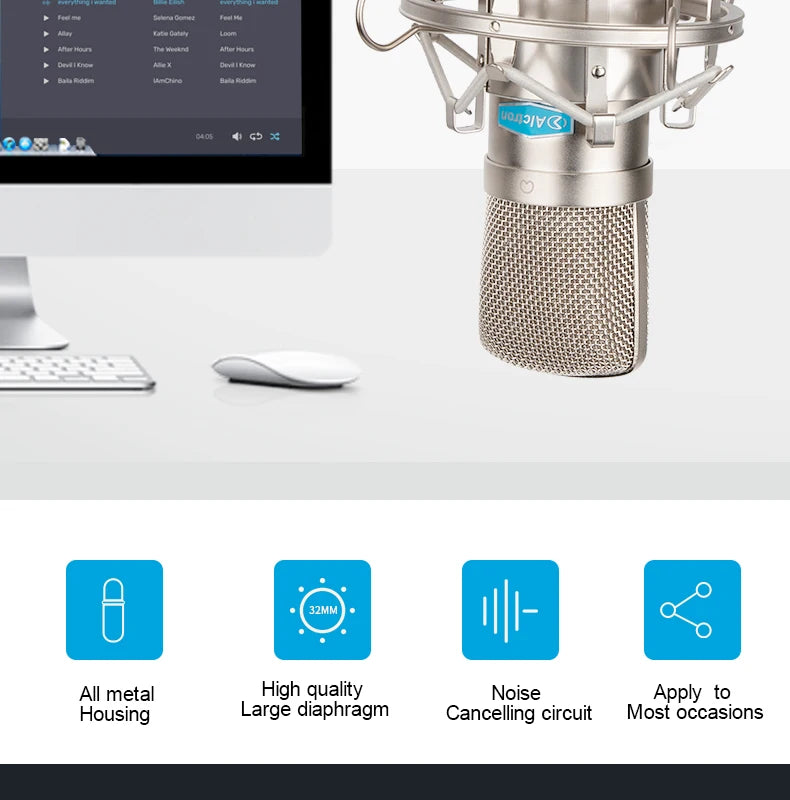Gold-Plated Professional Mic