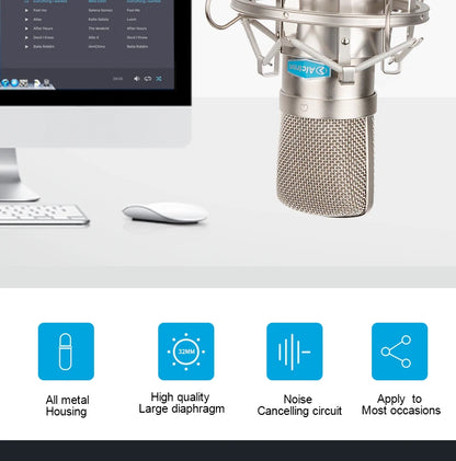 Gold-Plated Professional Mic