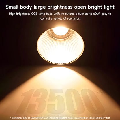Pro Creators Handheld COB LED Light