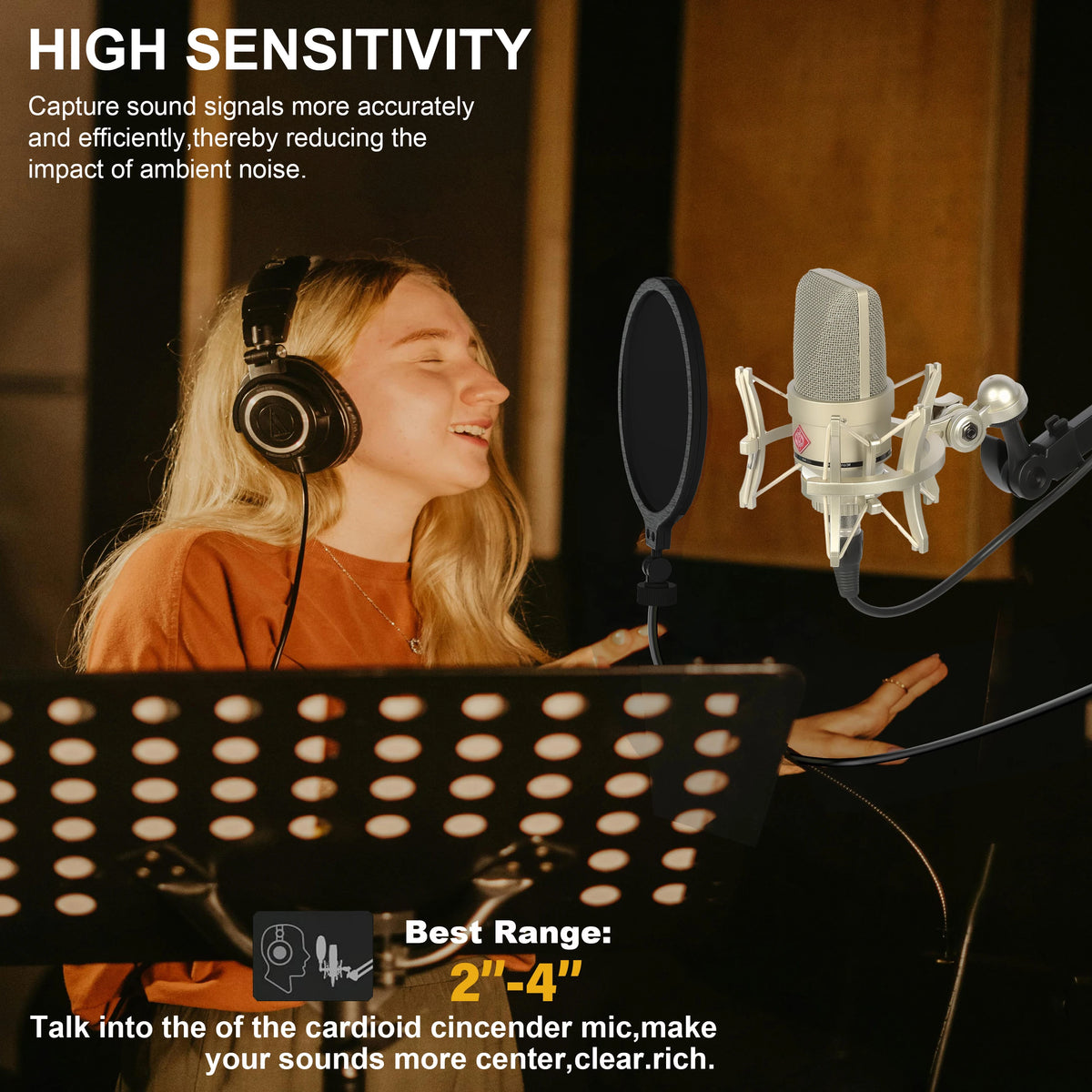 Professional Audio Recording Microphone