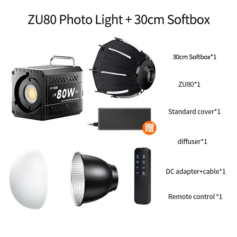 Professional 80W COB LED Light