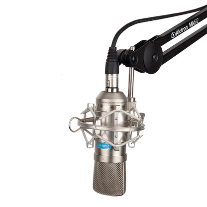 Gold-Plated Professional Mic