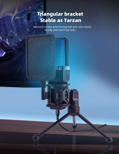 Professional Studio Mic Kit