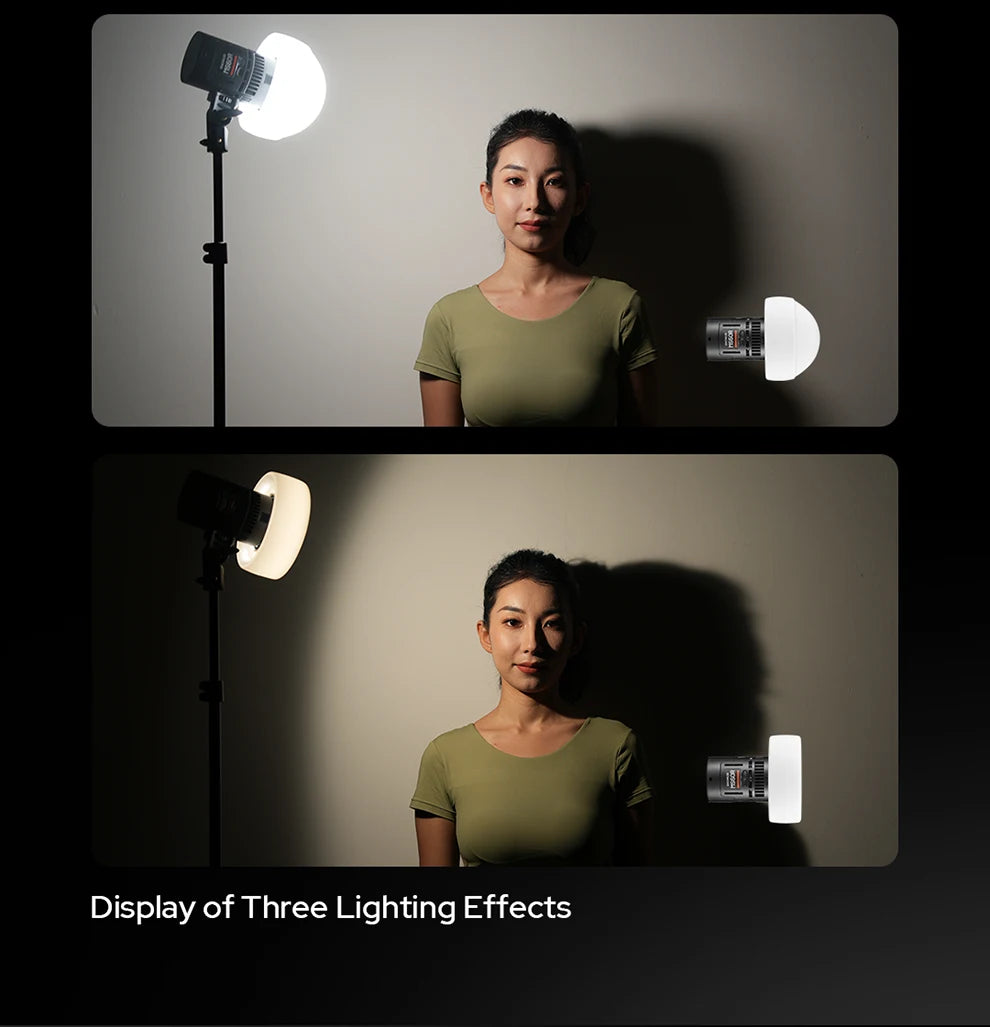 Portable Video Production Light