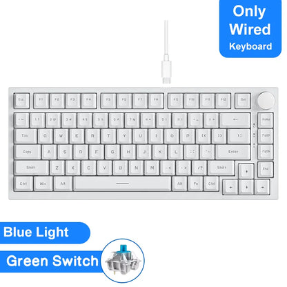 Premium mechanical keyboard