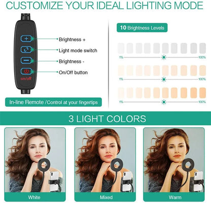 Modern Style Dual LED Broadcasts Light
