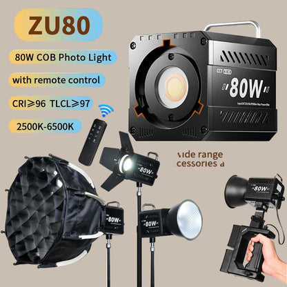 Professional 80W COB LED Light