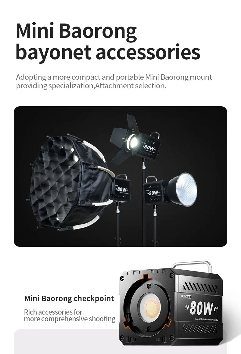 Professional 80W COB LED Light