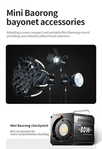 Professional 80W COB LED Light