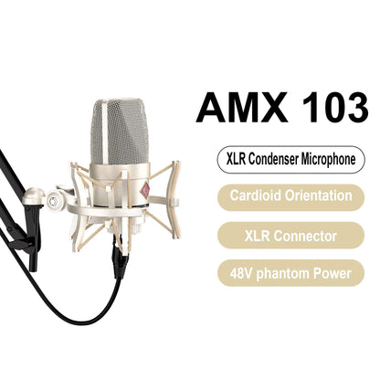 Professional Audio Recording Microphone