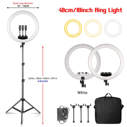 Creators Cam Models Lights