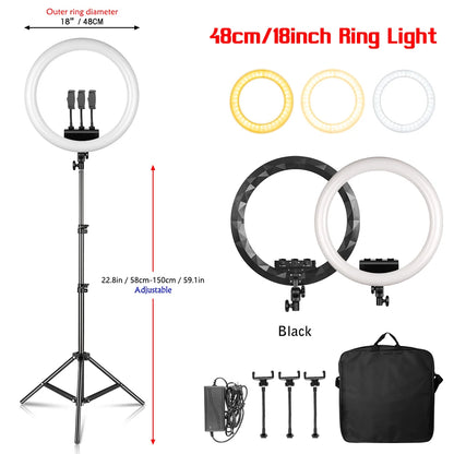 Creators Cam Models Lights