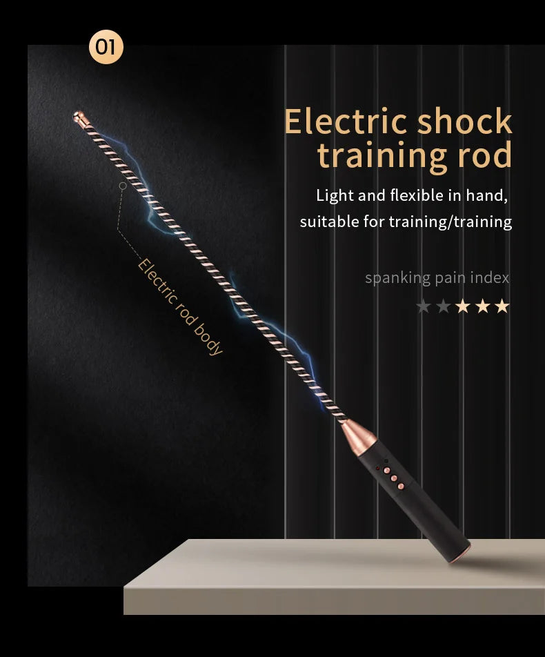 Electric shock training series, Pulse Horse Whip, Electro Spanking Paddle, Spanking Stick Bat, BDSM, Sex Games, Adult Sex Toys