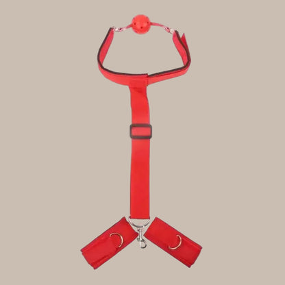 Bedroom Restraint Set – Cuffs & Straps Collection C