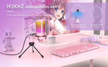 Plug & Play USB Mic for PC & Laptop
