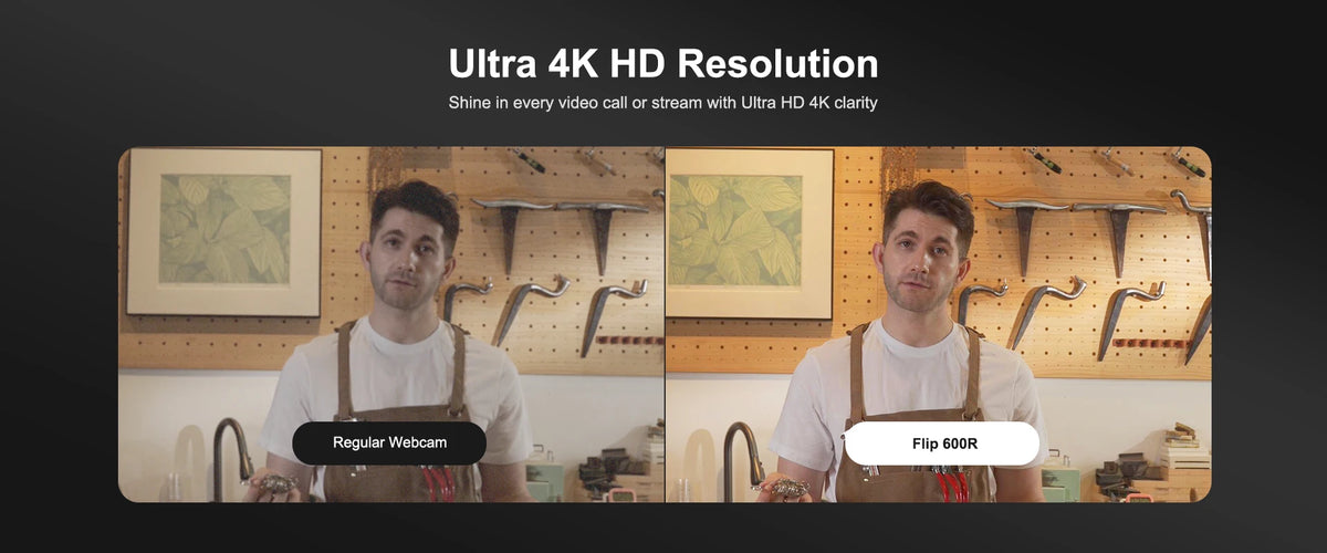 Autofocus, Dual Microphones Cam