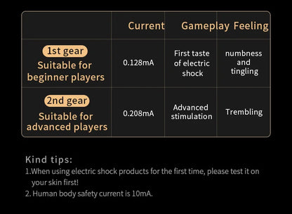 Electric shock training series, Pulse Horse Whip, Electro Spanking Paddle, Spanking Stick Bat, BDSM, Sex Games, Adult Sex Toys
