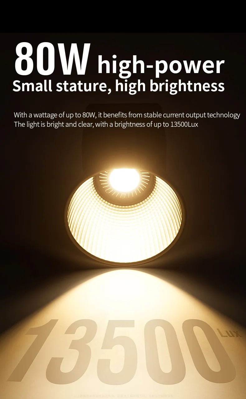 Professional 80W COB LED Light