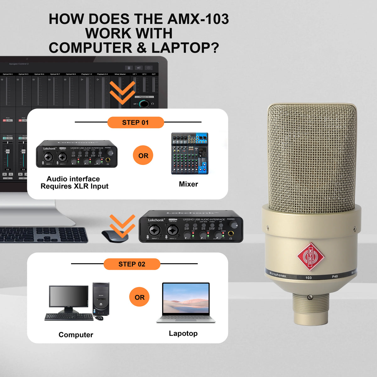Professional Audio Recording Microphone