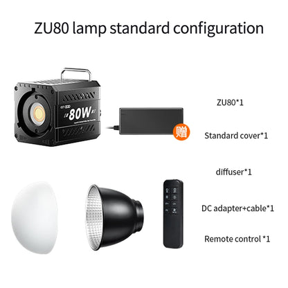 Professional 80W COB LED Light