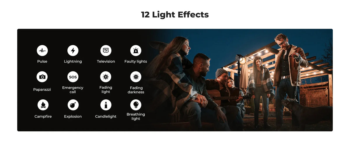 2 Light Effects COB Video Light