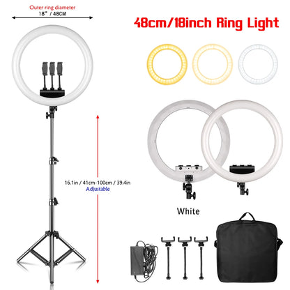 Creators Cam Models Lights