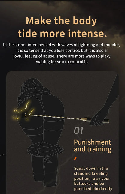 Electric shock training series, Pulse Horse Whip, Electro Spanking Paddle, Spanking Stick Bat, BDSM, Sex Games, Adult Sex Toys