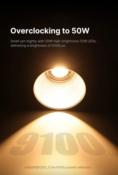 Creators Strobe Lighting