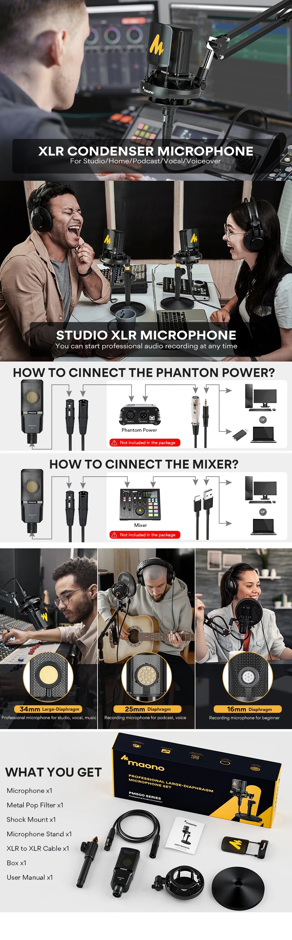 Professional Pro Mic