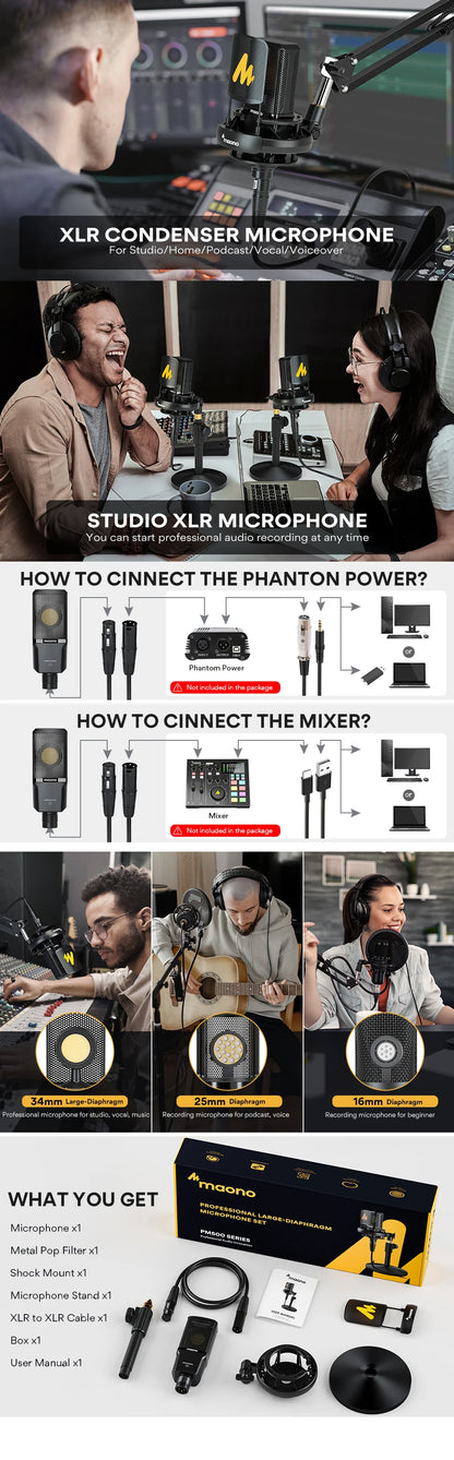 Professional Pro Mic