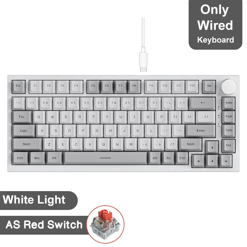 Premium mechanical keyboard