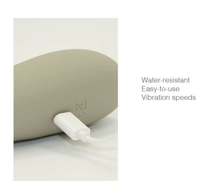 Premium Clitoral Vaginal Stimulator