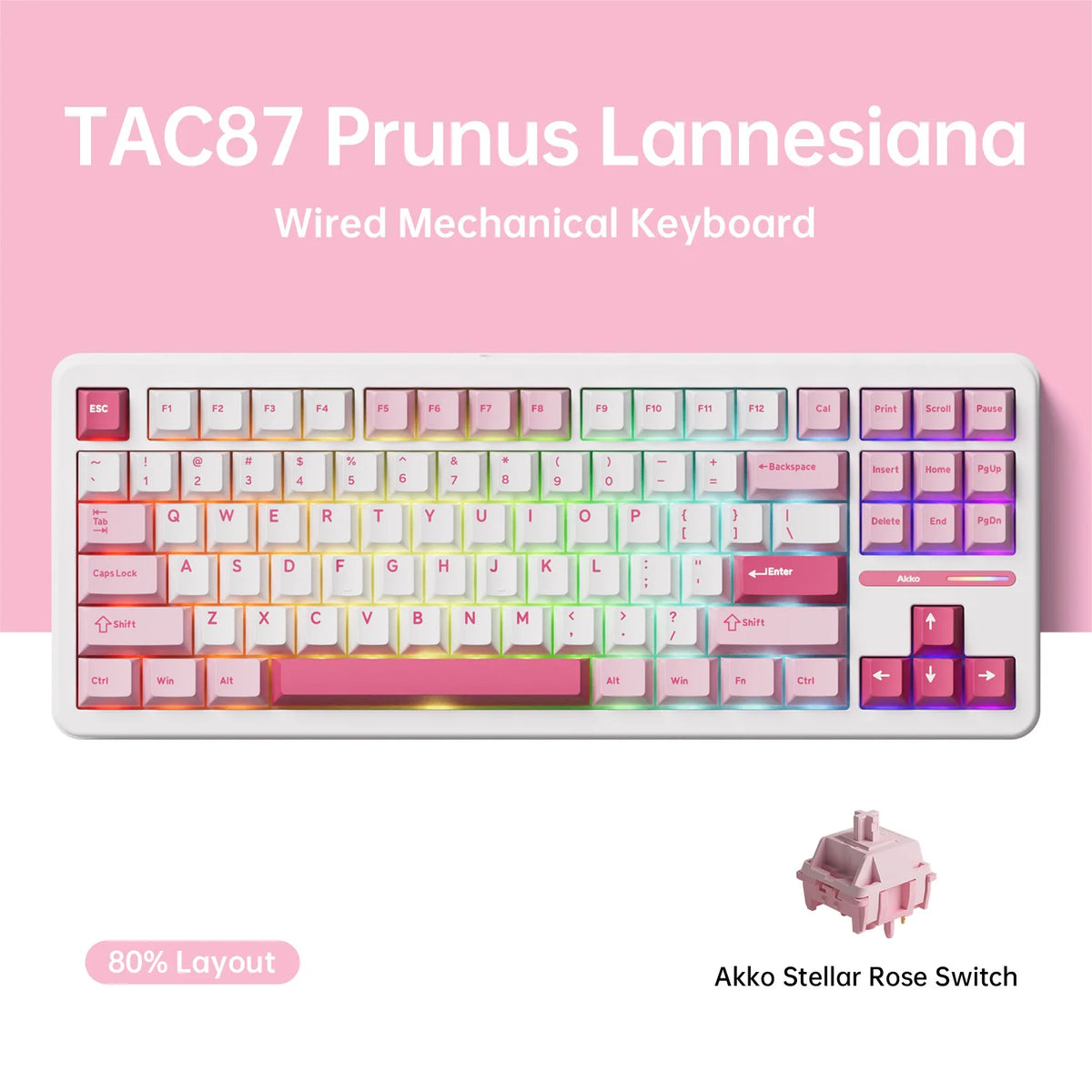 RGB Backlit Mechanical Keyboard