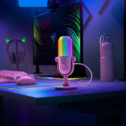 Clean Voice for Streamers