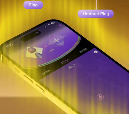 Smart App Controlled Chastity Cage