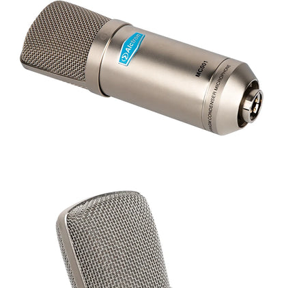 Gold-Plated Professional Mic