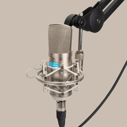 Gold-Plated Professional Mic