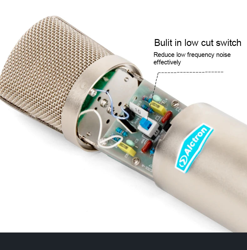 Gold-Plated Professional Mic