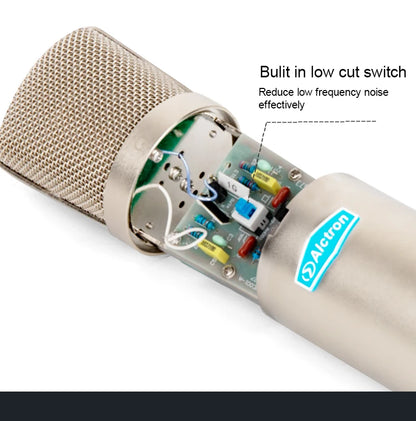 Gold-Plated Professional Mic