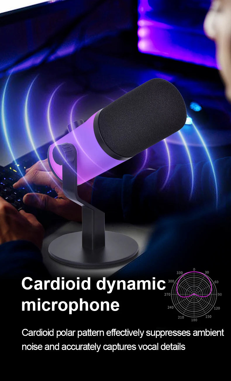 Webcam Performers Mic