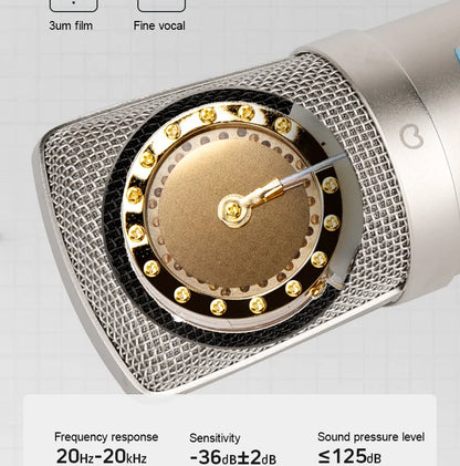 Gold-Plated Professional Mic
