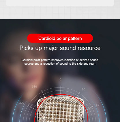Gold-Plated Professional Mic