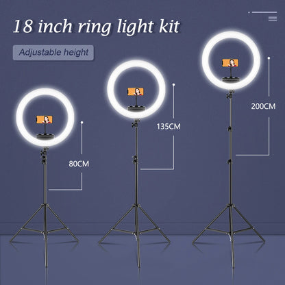 Creators Cam Models Lights