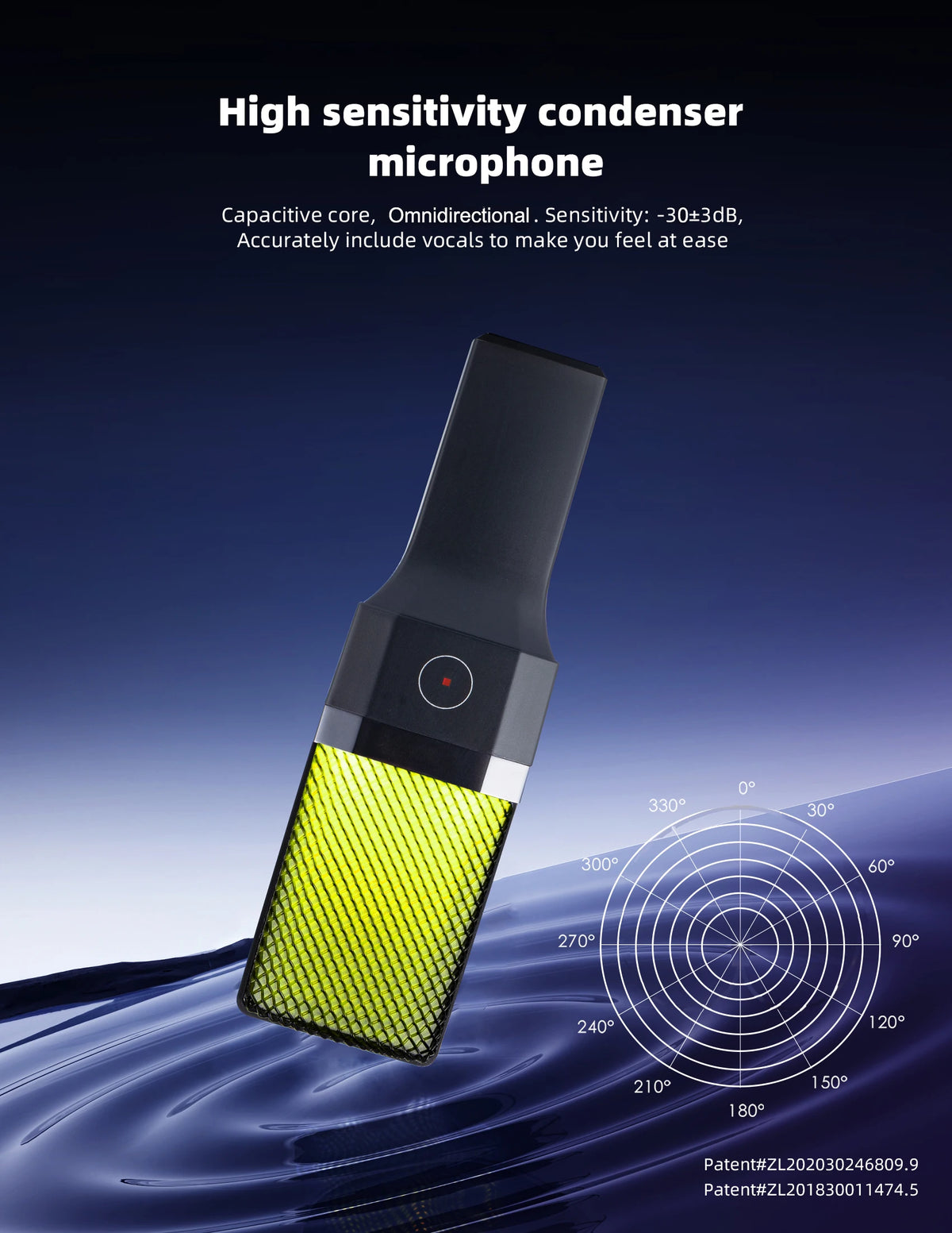 Professional Studio Mic Kit